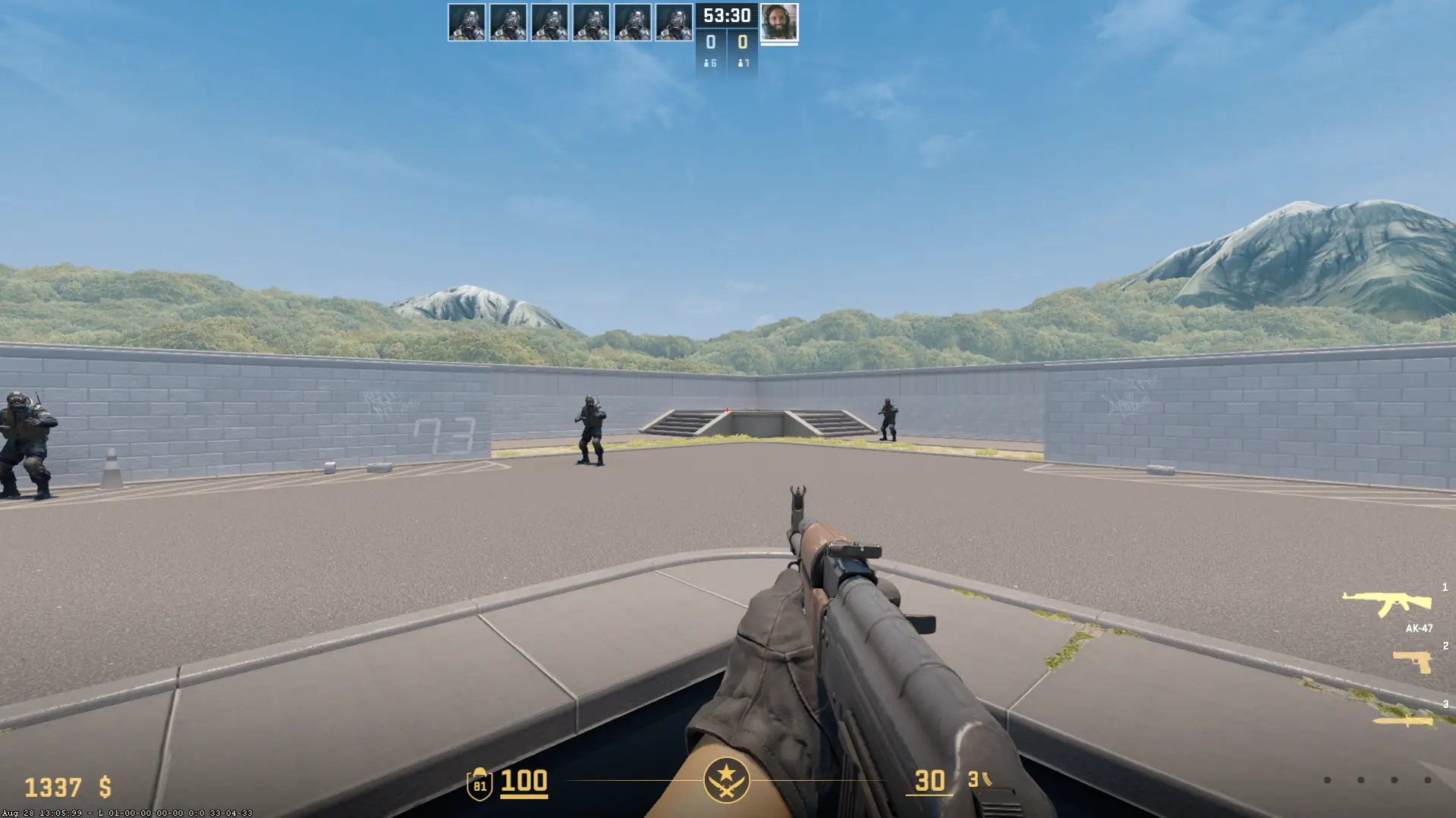 CS2 gameplay without MTX visual features