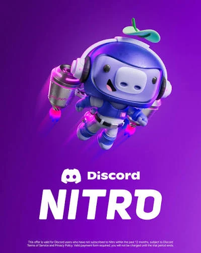 14x Discord Boosts
